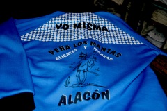 blusa fiestas