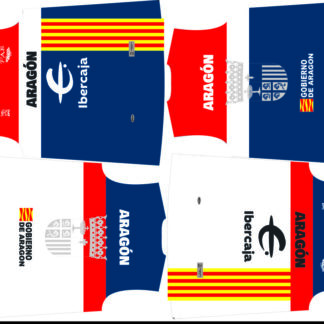 CAMISETA REVERSIBLE (FAB) 2025